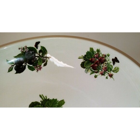 Portmeirion Stoke-On-Trent Fruit Pattern Ceramic Bowl 10 1/4" Wide Fruit Design - Picture 3 of 7